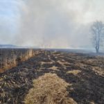 Pożar nieużytków w Kozakach w 2022 r.