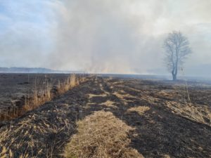 Pożar nieużytków w Kozakach w 2022 r.