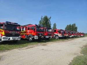 ćwiczenia Biszcza