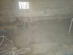 ćwiczenia Biszcza